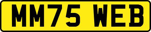 MM75WEB