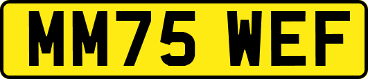 MM75WEF