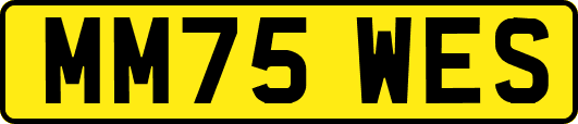 MM75WES