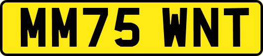 MM75WNT