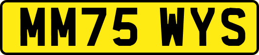 MM75WYS