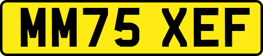 MM75XEF