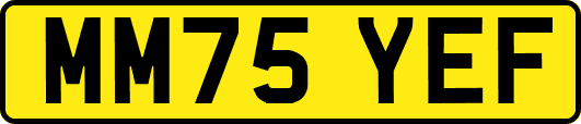 MM75YEF