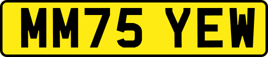 MM75YEW