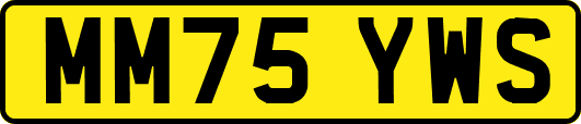 MM75YWS