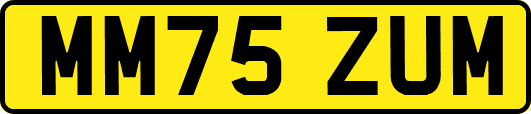 MM75ZUM