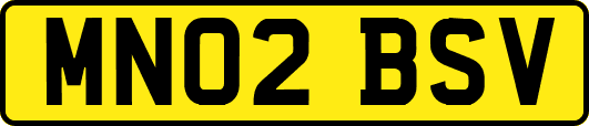 MN02BSV