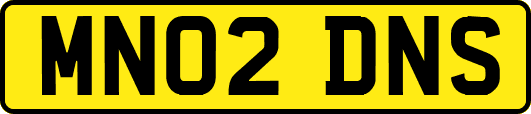 MN02DNS