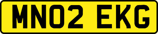MN02EKG