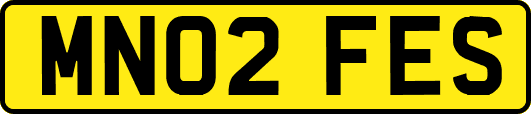 MN02FES