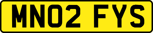 MN02FYS