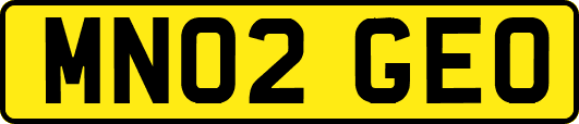 MN02GEO