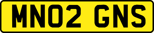 MN02GNS