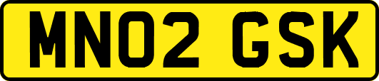 MN02GSK