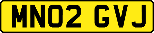 MN02GVJ