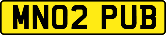 MN02PUB