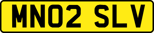 MN02SLV