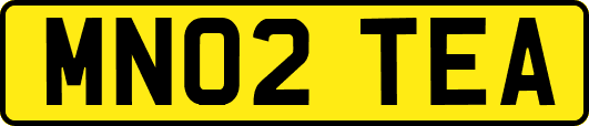 MN02TEA