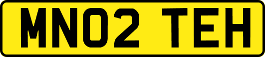 MN02TEH