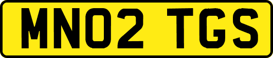 MN02TGS
