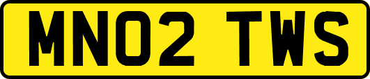 MN02TWS