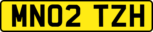 MN02TZH