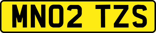 MN02TZS