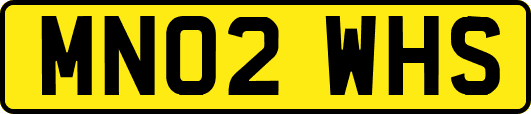 MN02WHS