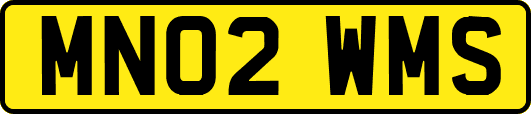 MN02WMS