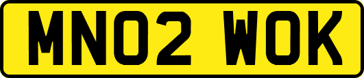 MN02WOK