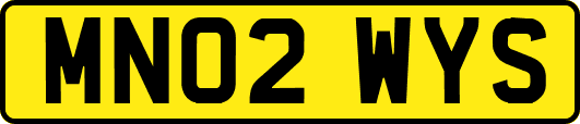 MN02WYS