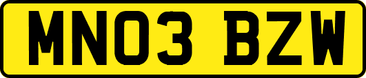 MN03BZW