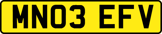 MN03EFV