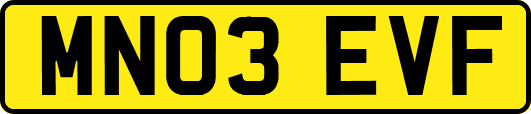 MN03EVF
