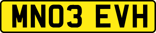 MN03EVH