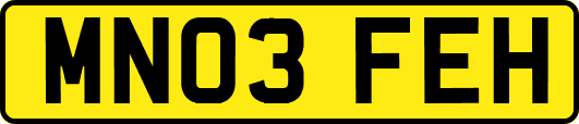 MN03FEH