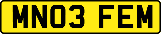 MN03FEM