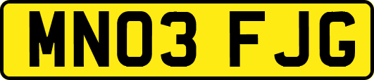 MN03FJG