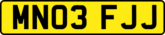 MN03FJJ