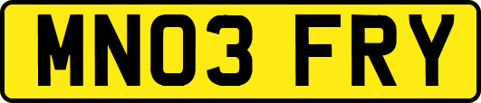 MN03FRY