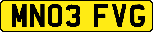 MN03FVG