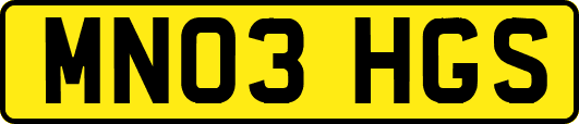 MN03HGS