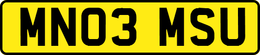 MN03MSU
