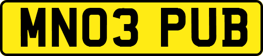 MN03PUB