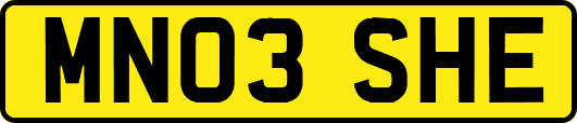 MN03SHE