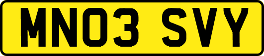 MN03SVY