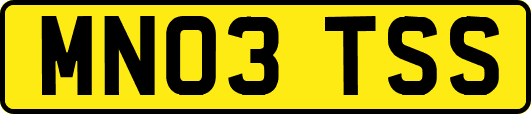 MN03TSS