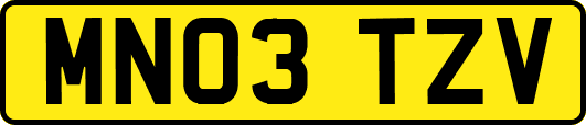MN03TZV