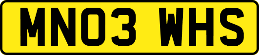 MN03WHS