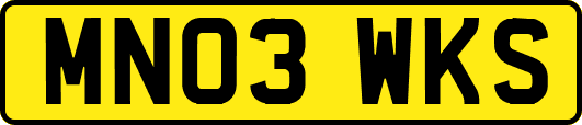 MN03WKS